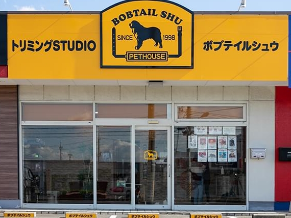 Bobtailshu Store